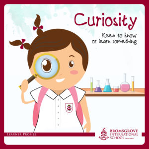 You demonstrate CURIOSITY