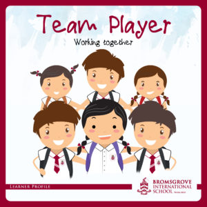 You are a TEAM-PLAYER