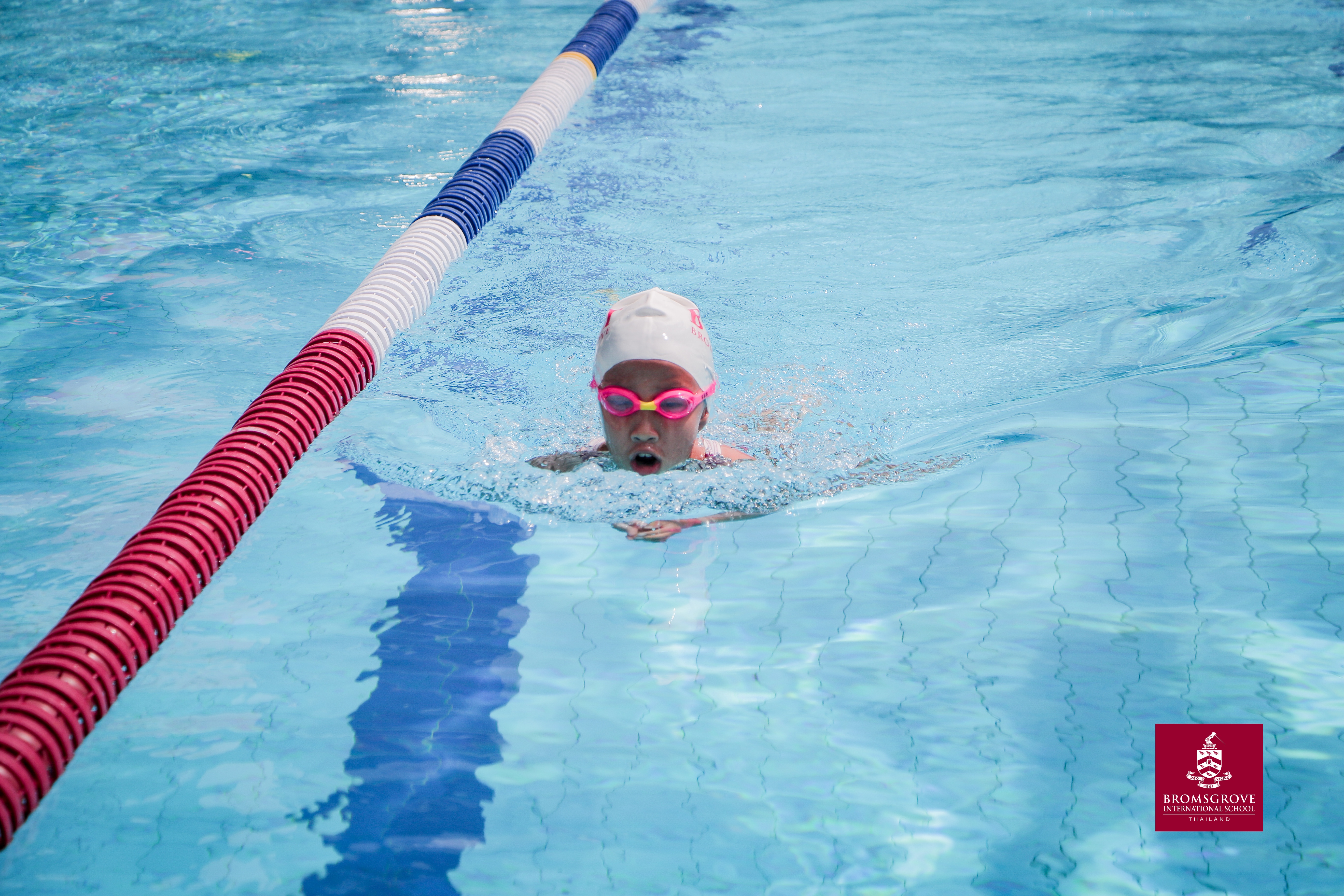 Gallery Year 3-6 Swimming Gala 2019 | Bromsgrove International School